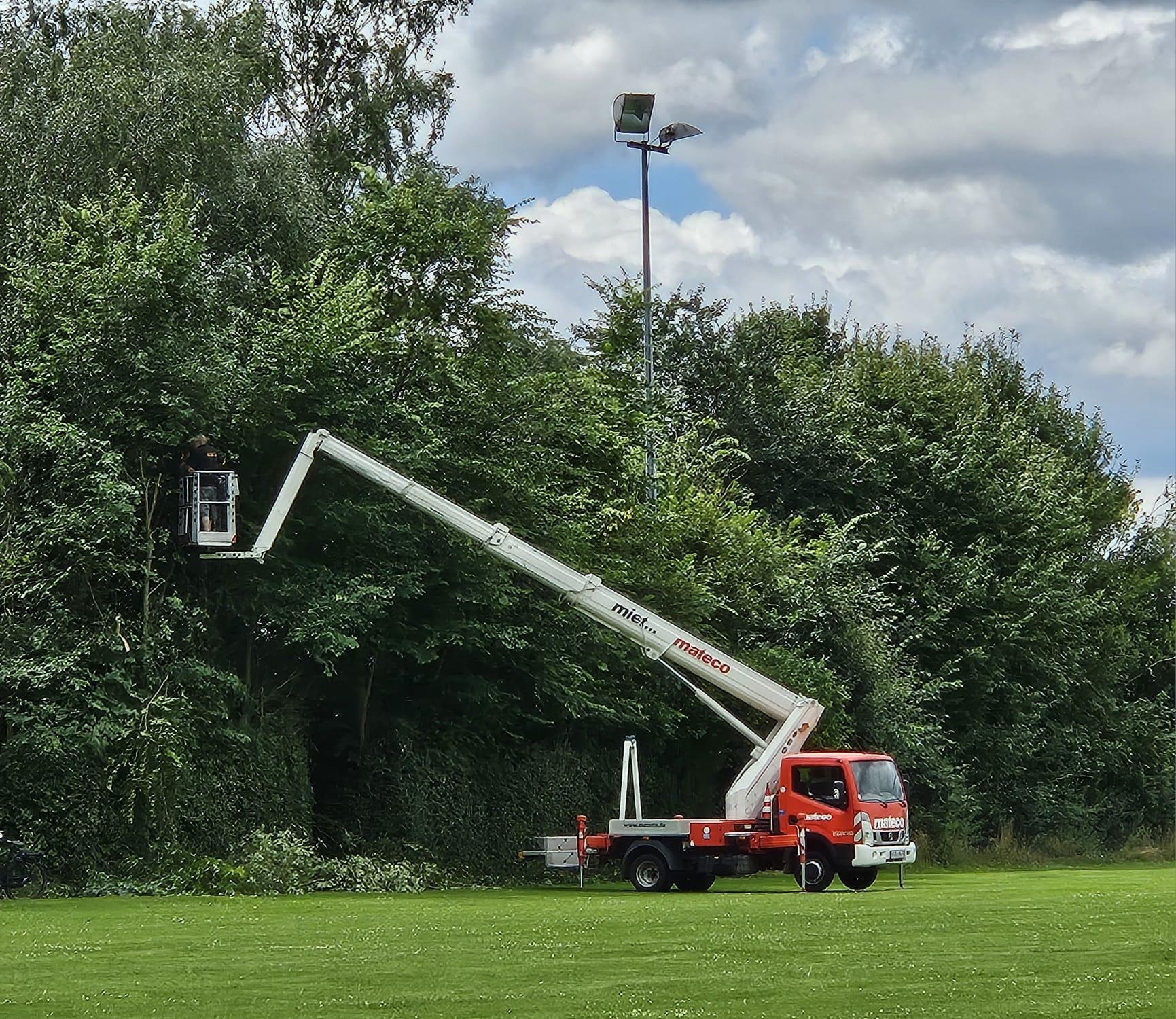 Baumschneidearbeiten, Vermessungen & mehr! 🌳